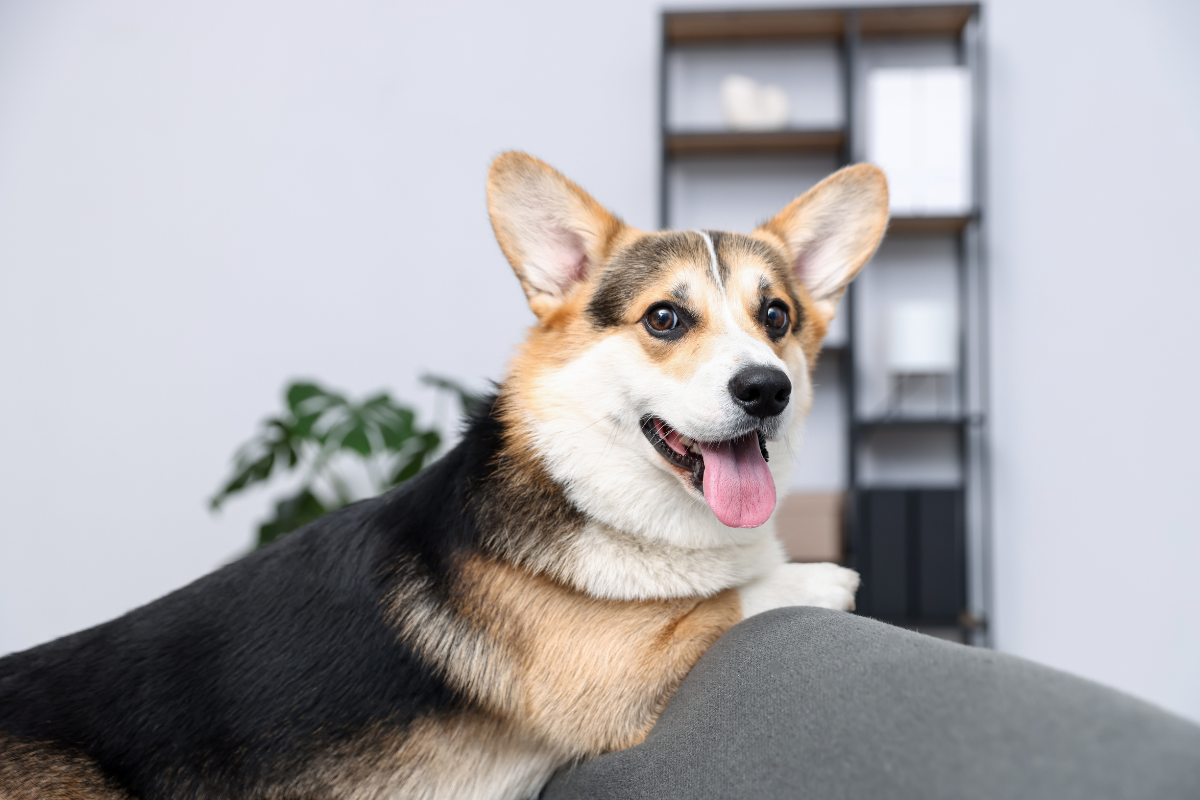 Ilustrační foto; Credit: Canva