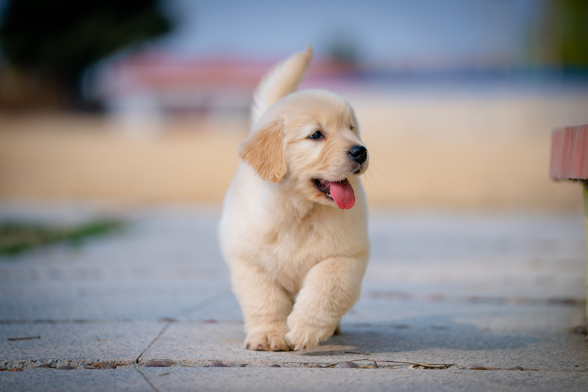 Ilustrační foto; Credit: Canva