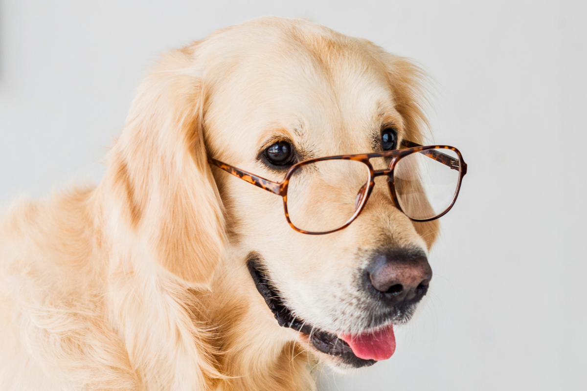 Ilustrační foto; Credit: Canva