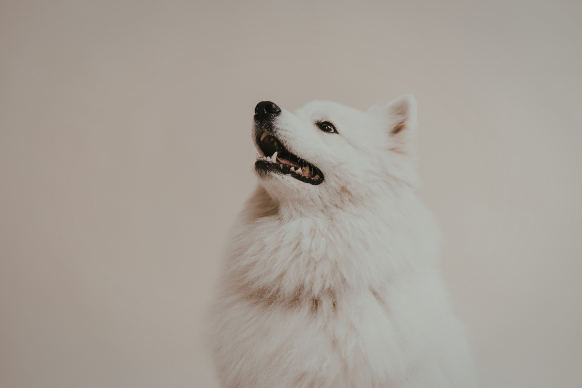 Ilustrační foto; Credit: Canva