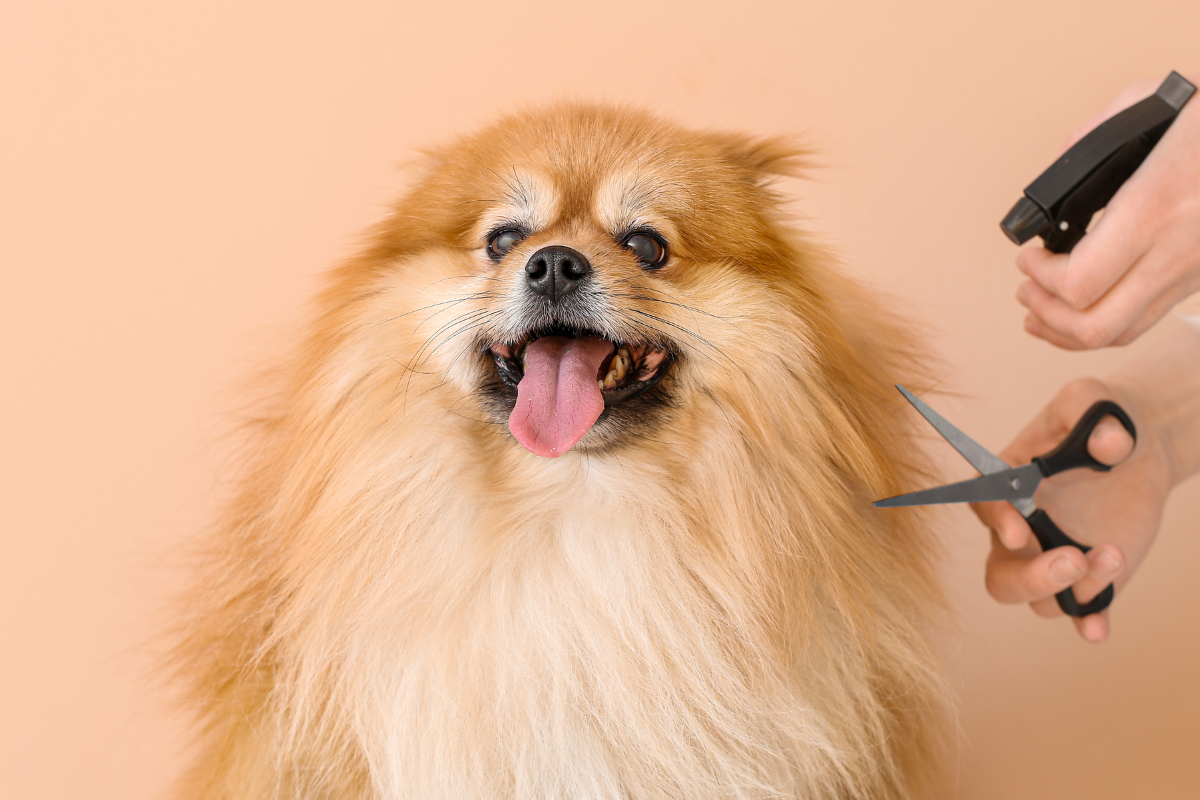 Ilustrační foto; Credit: Canva