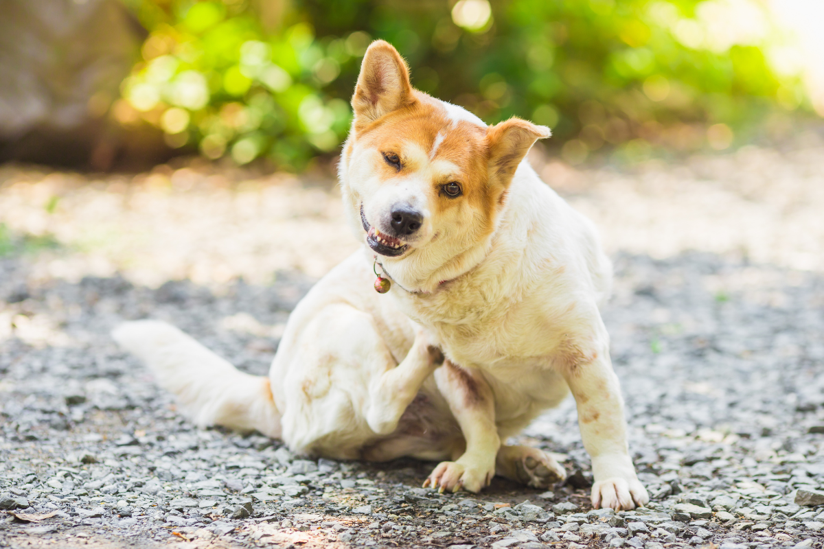 Ilustrační foto; Credit: Canva