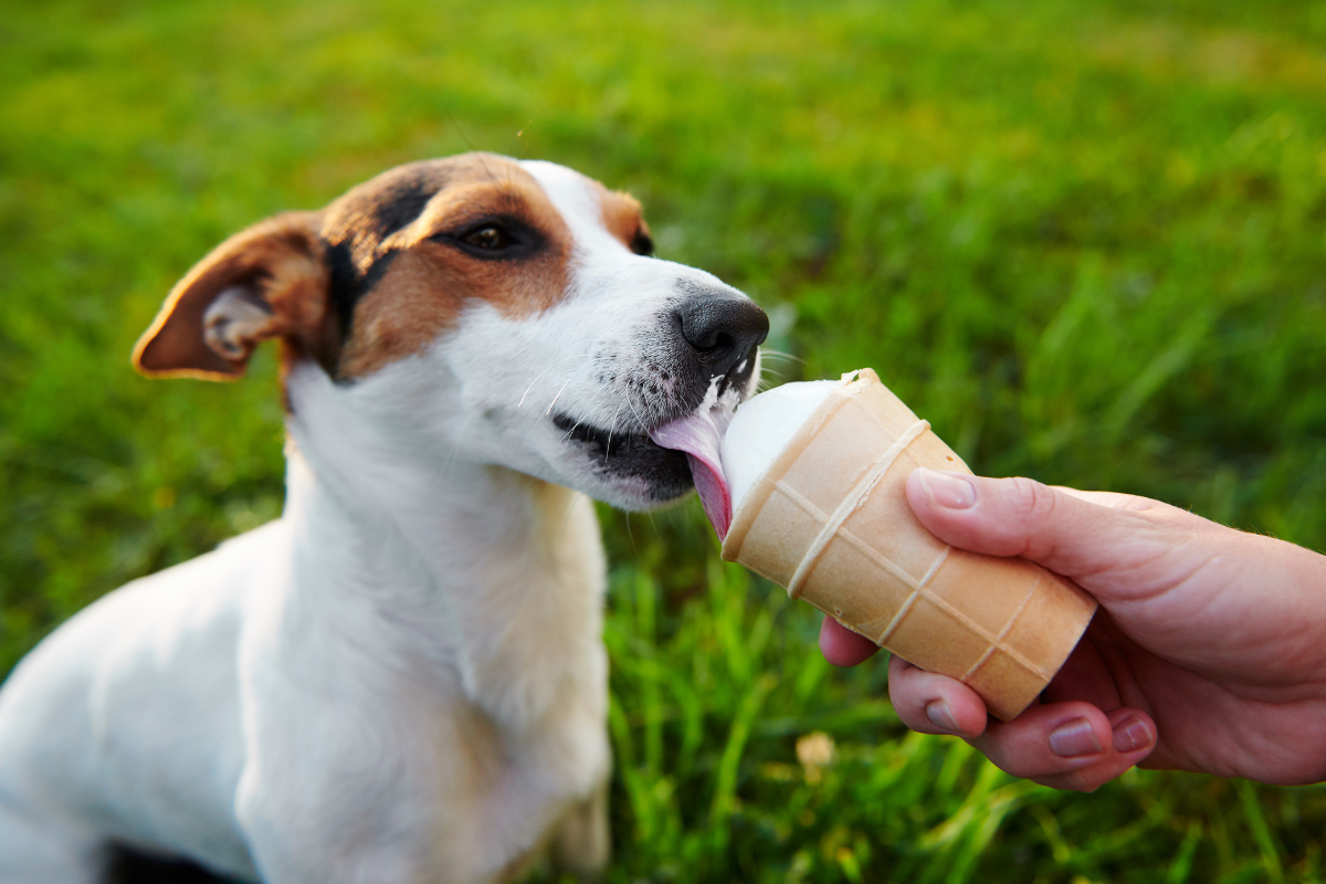 Ilustrační foto; Credit: Canva