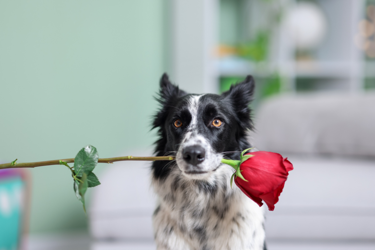 Ilustrační foto; Credit: Canva