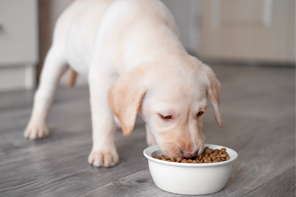 Ilustrační foto; Credit: Canva