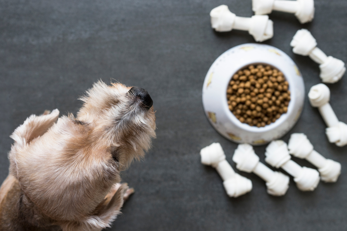 Ilustrační foto; Credit: Canva