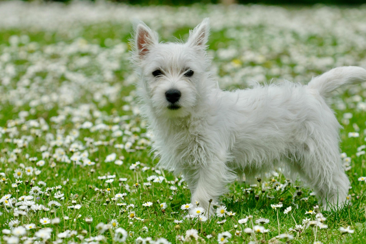 Ilustrační foto; Credit: Canva