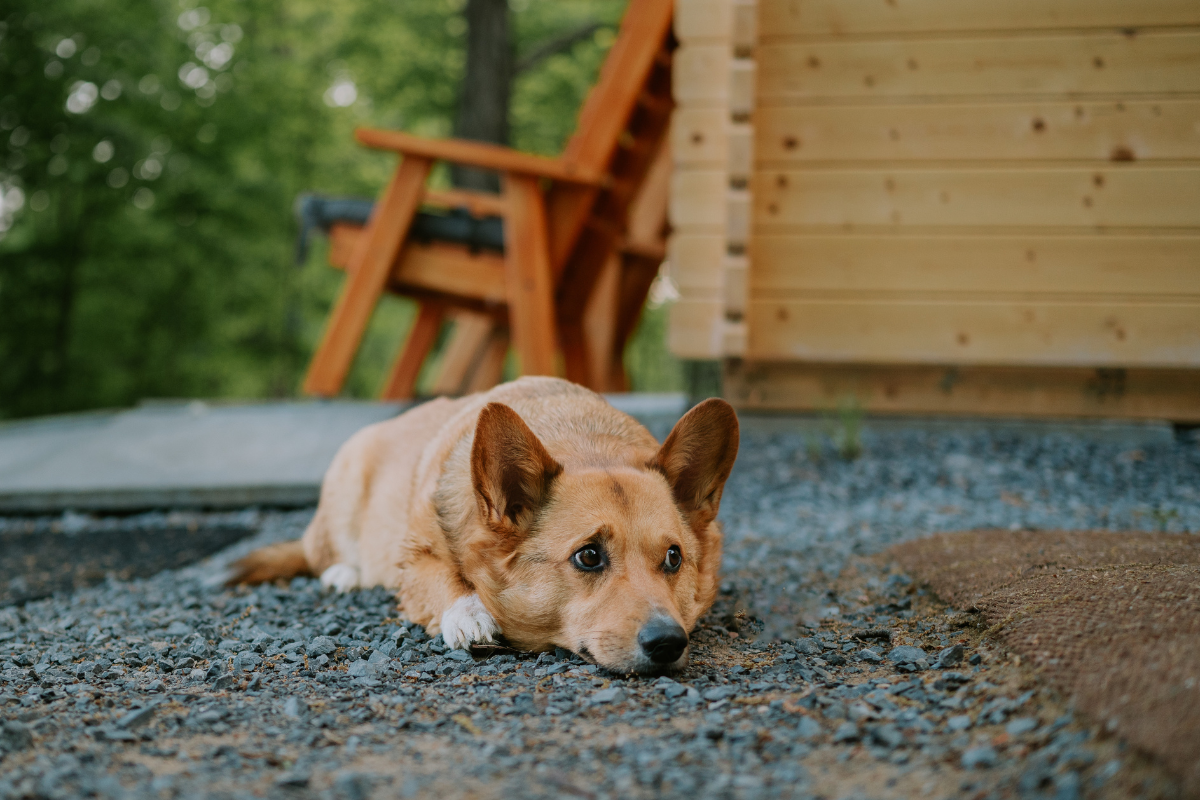 Ilustrační foto; Credit: Canva