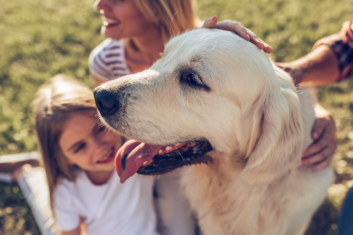 Ilustrační foto; Credit: Canva