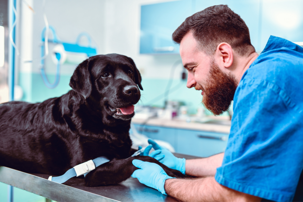 Ilustrační foto; Credit: Canva