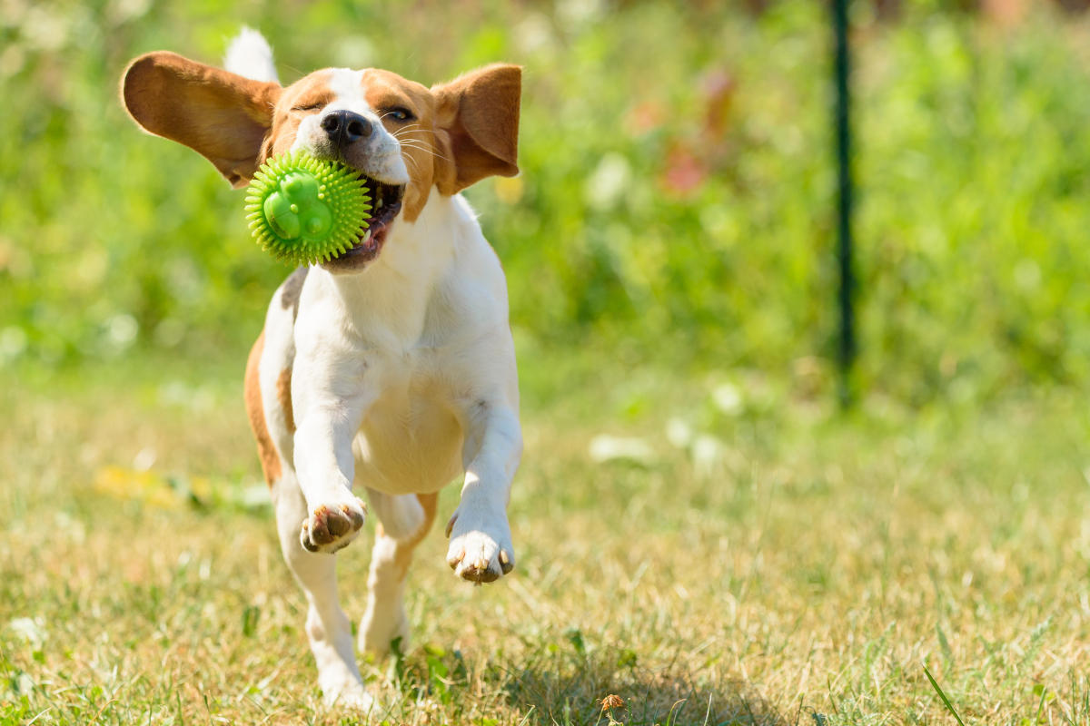 Ilustrační foto; Credit: Canva