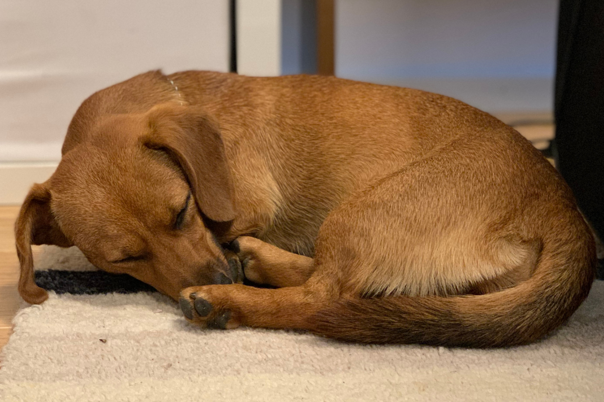 Ilustrační foto; Credit: Canva