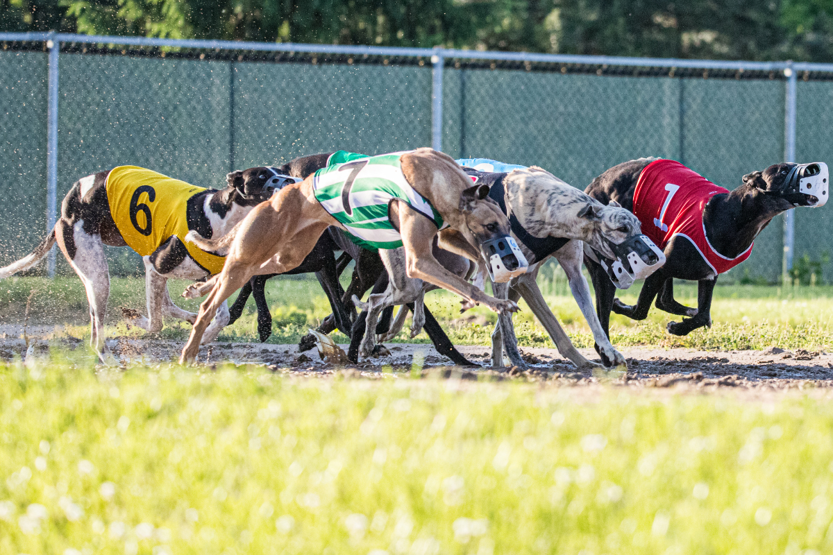 Ilustrační foto; Credit: Canva