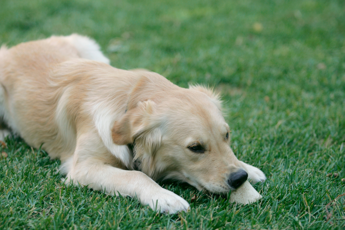 Ilustrační foto; Credit: Canva