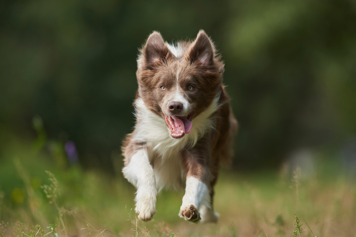 Ilustrační foto; Credit: Canva