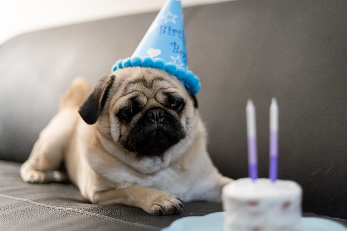 Ilustrační foto; Credit: Canva