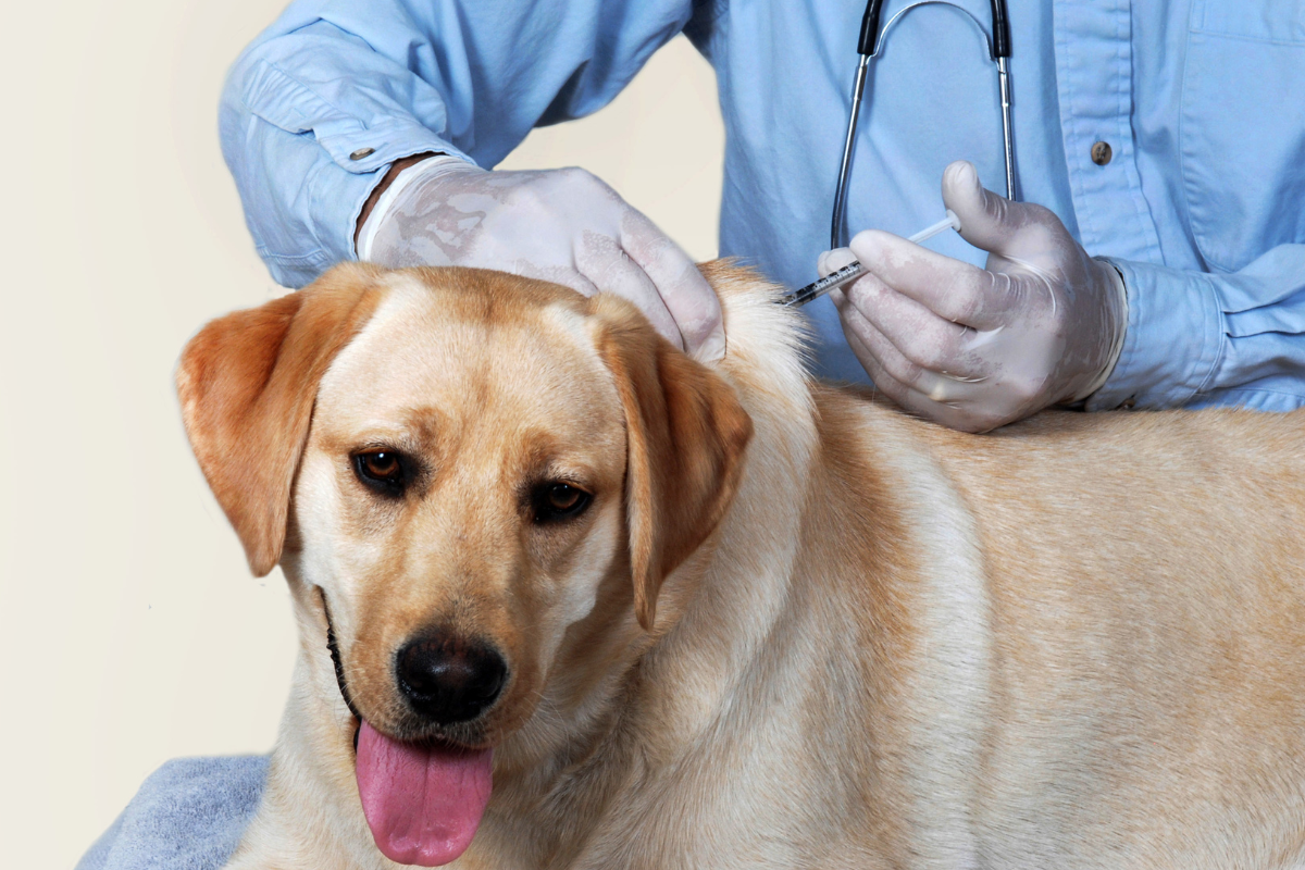 Ilustrační foto; Credit: Canva