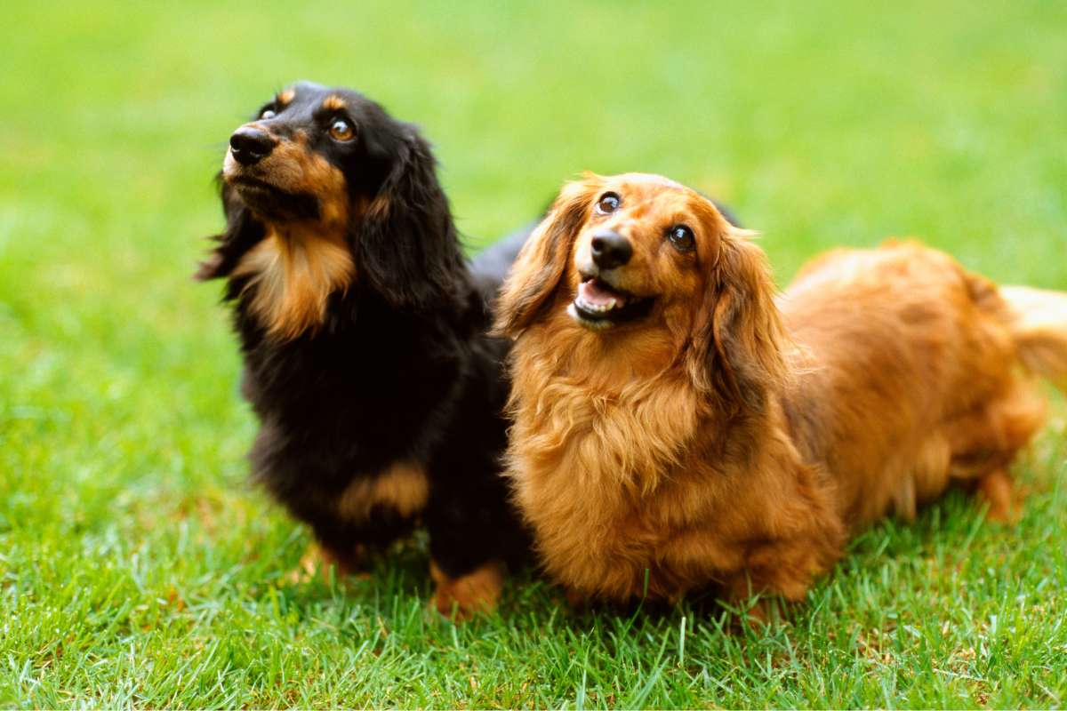 Ilustrační foto; Credit: Canva