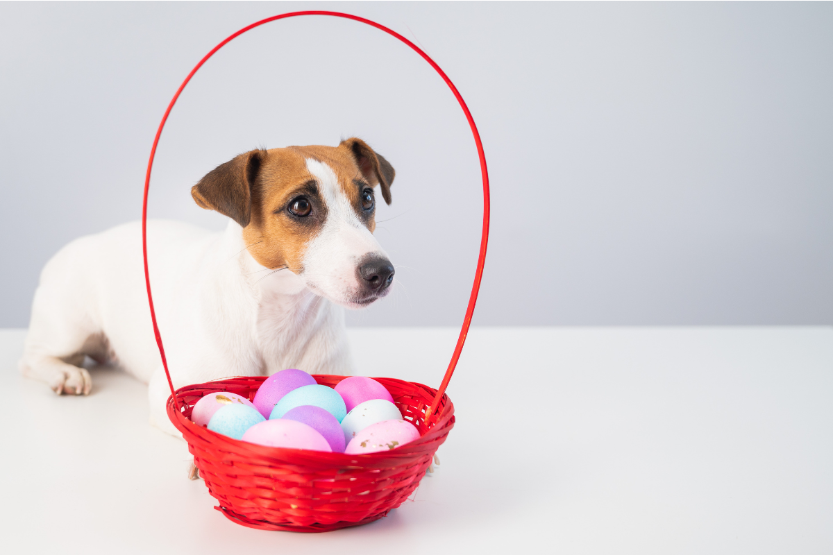 Ilustrační foto; Credit: Canva