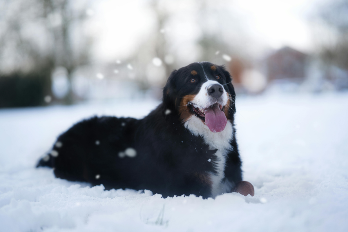 Ilustrační foto; Credit: Canva