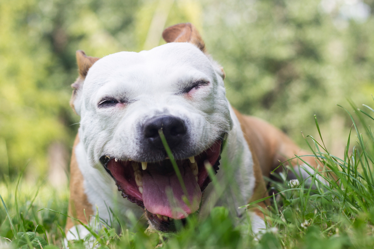 Ilustrační foto; Credit: Canva