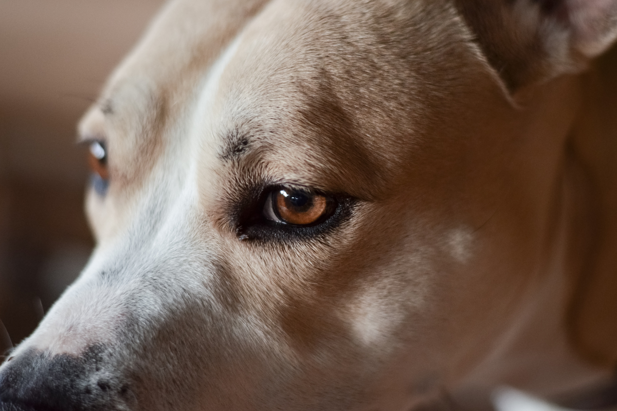 Ilustrační foto; Credit: Canva