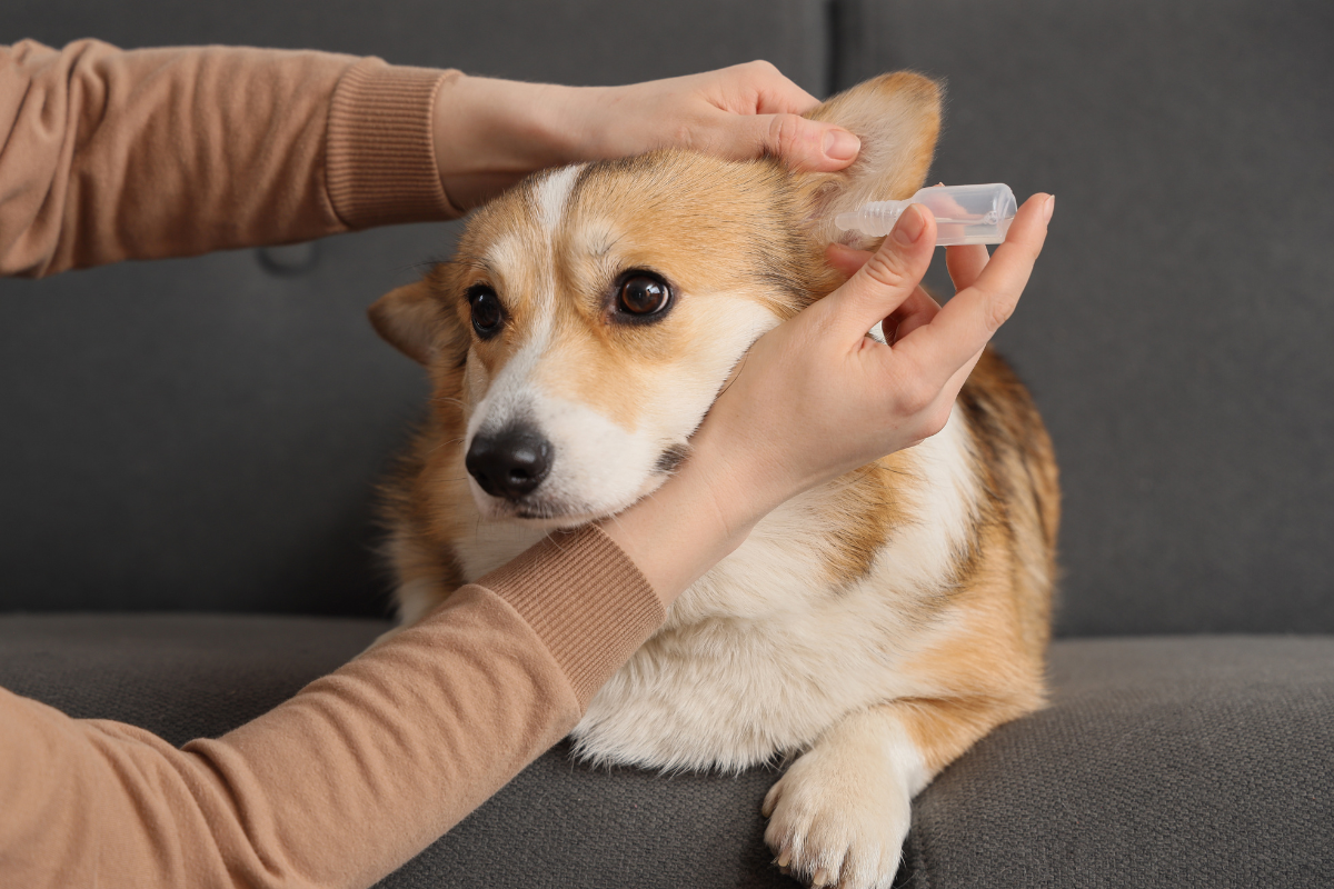 Ilustrační foto; Credit: Canva