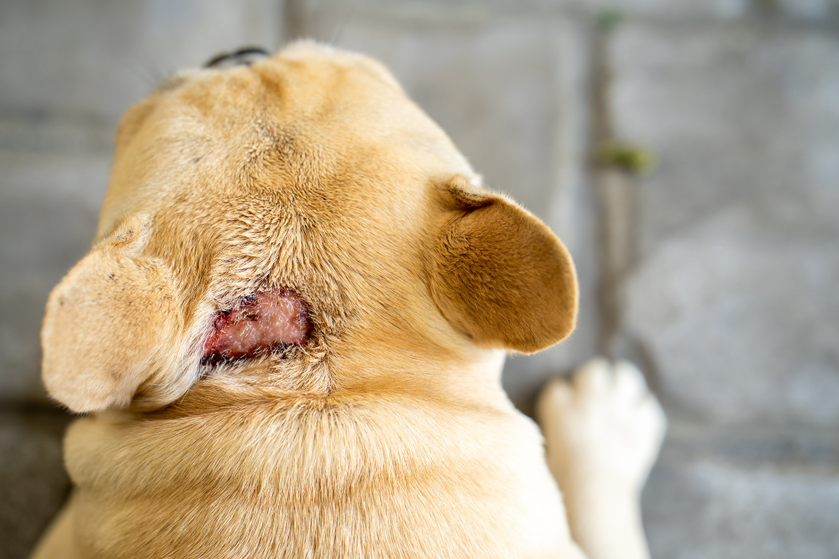 Ilustrační foto; Credit: Canva