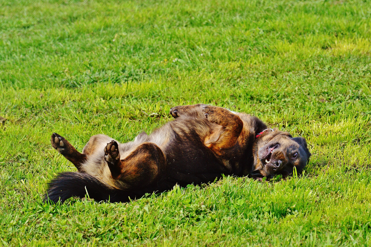 Ilustrační foto; Credit: Canva