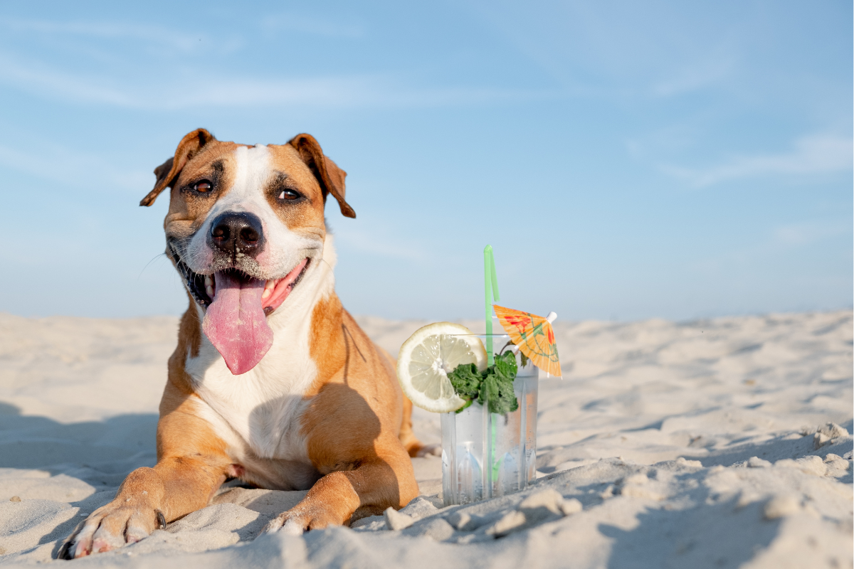 Ilustrační foto; Credit: Canva