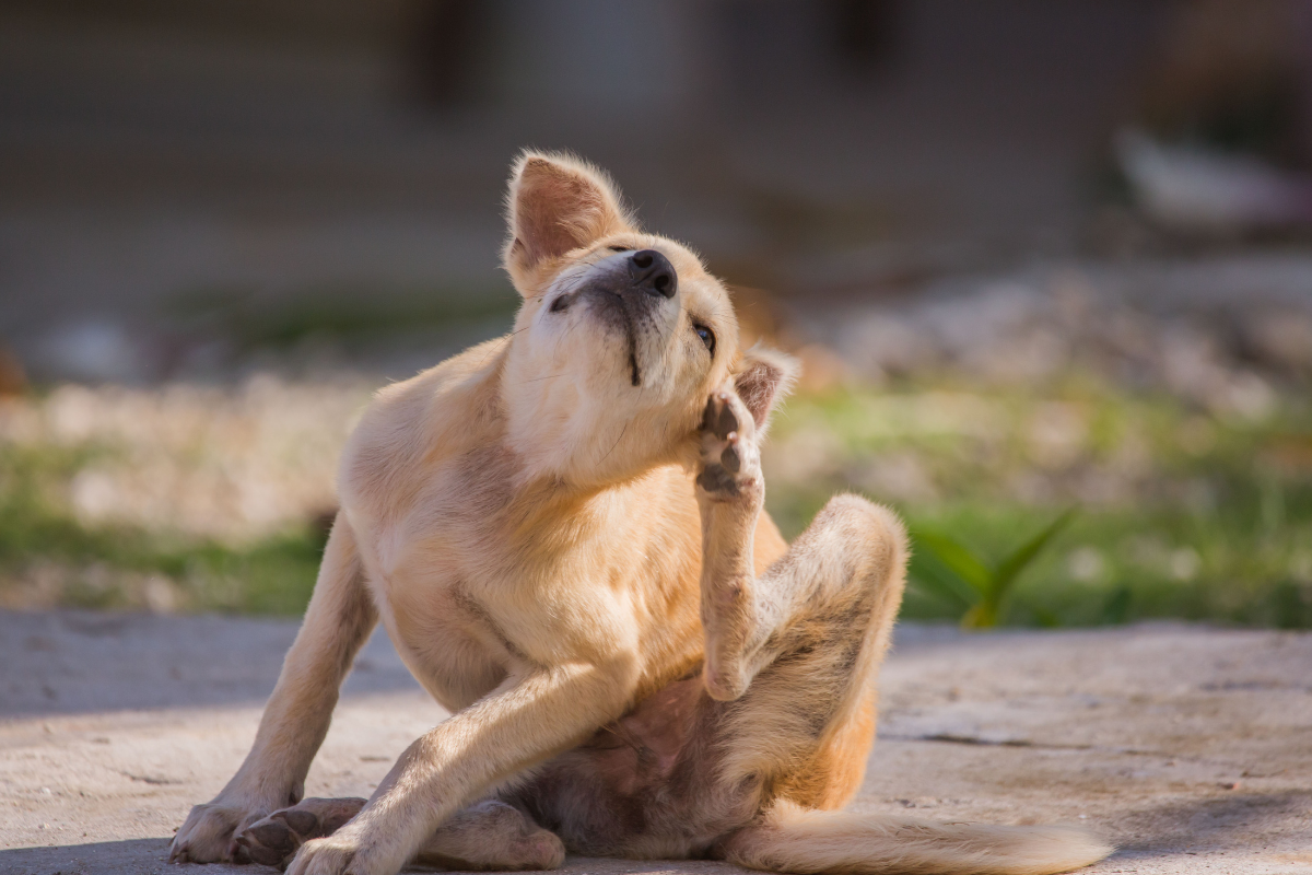 Ilustrační foto; Credit: Canva