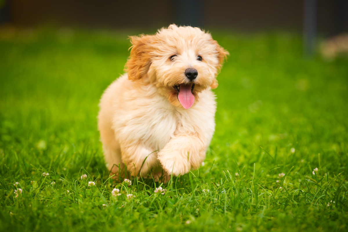 Ilustrační foto; Credit: Canva