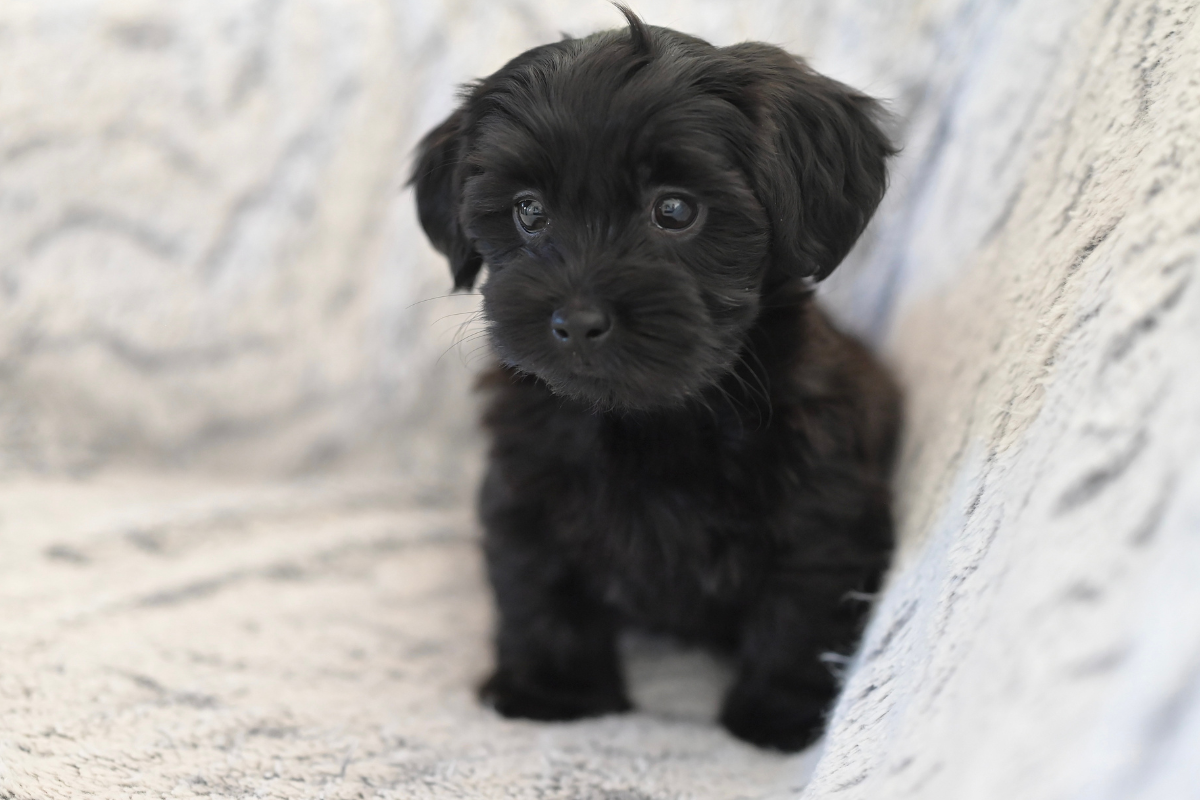 Ilustrační foto; Credit: Canva