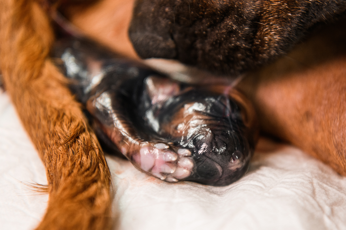 Ilustrační foto; Credit: Canva