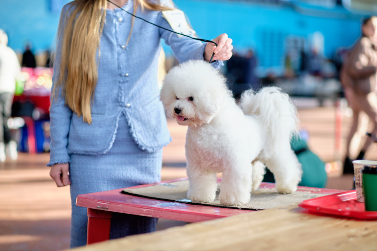 Ilustrační foto; Credit: Canva