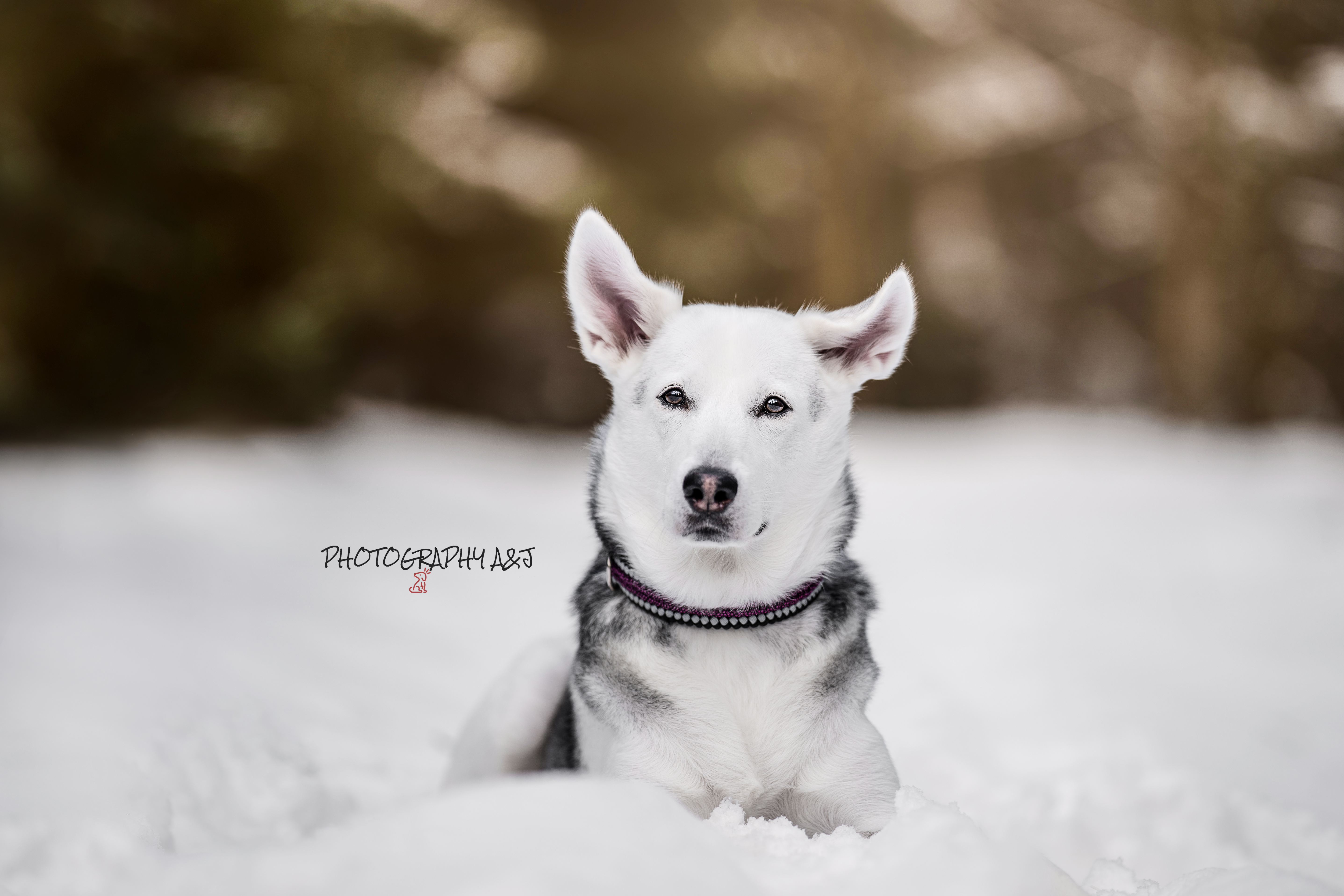 Ilustrační foto; Credit: Photography A&J