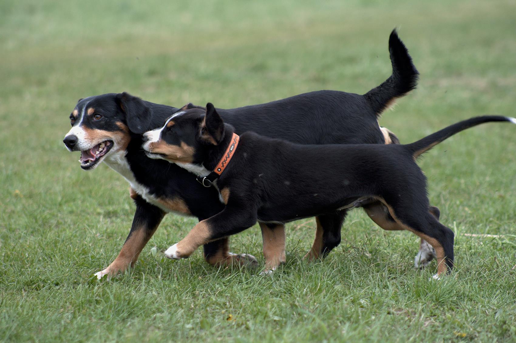 Ilustrační foto; Credit: Photography A&J